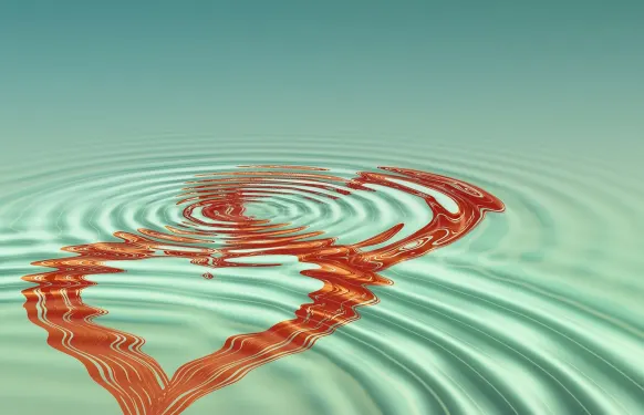 Rex Cazino Cazinou Suport